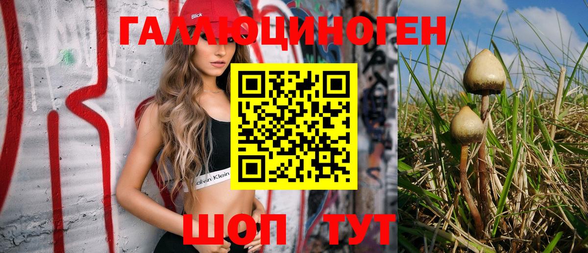 Красноармейск  Псилоцибиновые грибы Magic Shrooms  Вход с VPN 